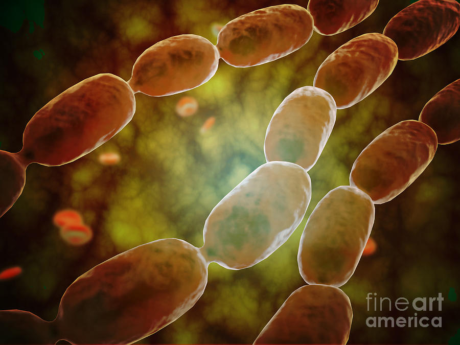 Microscopic View Of Bacterial Pneumonia #2 Digital Art by Stocktrek Images
