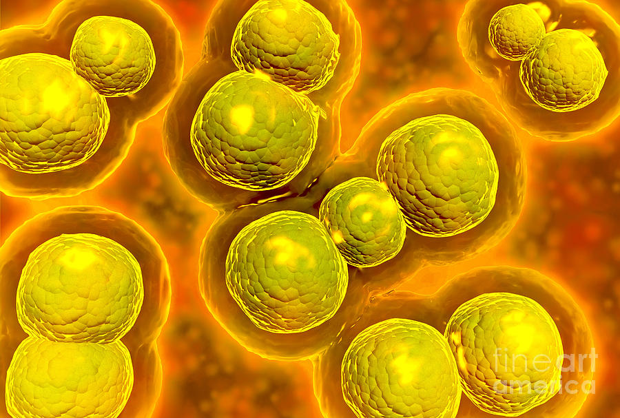 Abstract Digital Art - Microscopic View Of Chlamydia #2 by Stocktrek Images