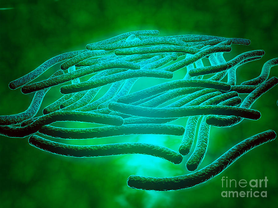 Abstract Digital Art - Microscopic View Of Legionella #2 by Stocktrek Images