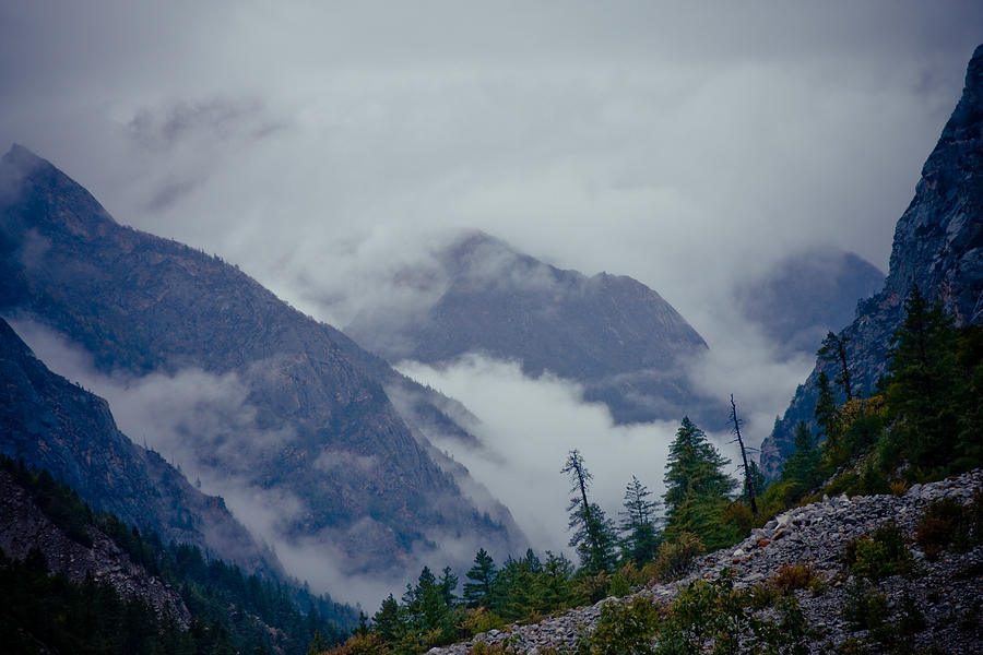 Landscape Photograph - Mist in mountain mystery forest #2 by Raimond Klavins