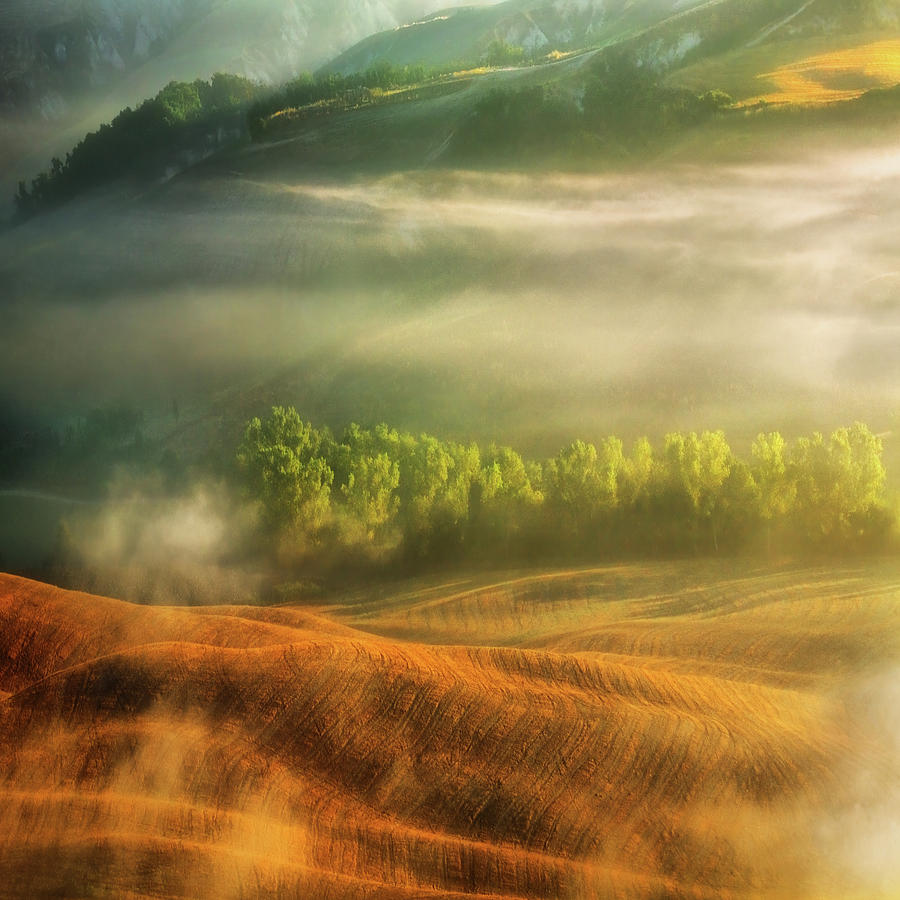 Mist... #2 Photograph by Krzysztof Browko