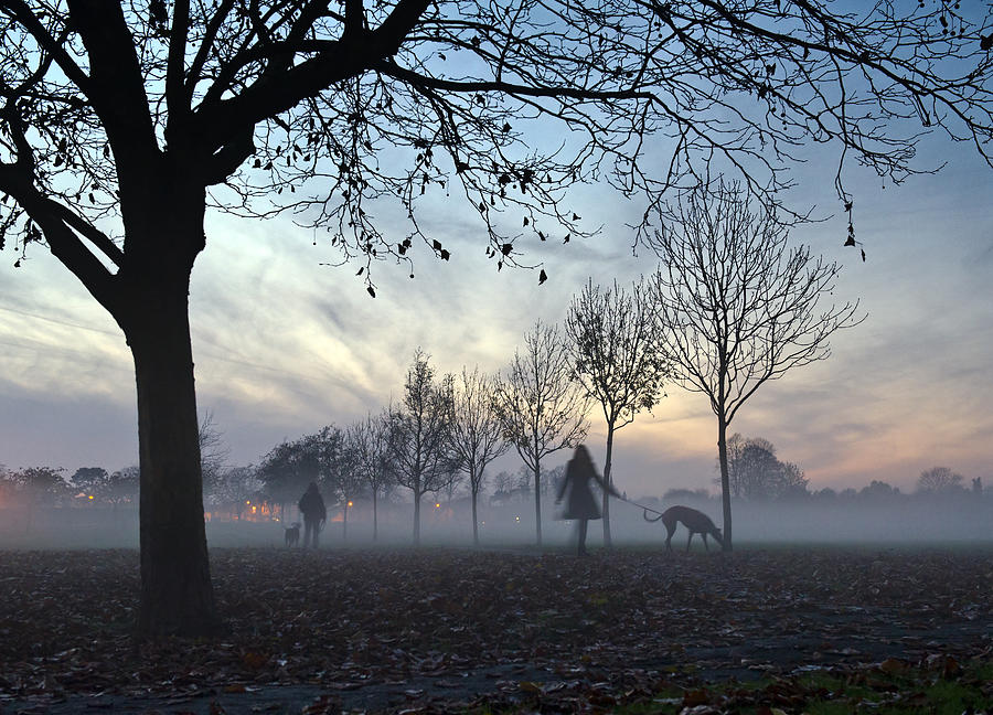 Misty afternoon in the park #2 Photograph by Gary Eason