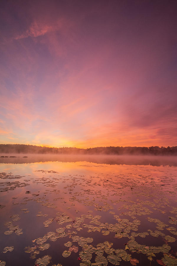 Misty Morning #2 Photograph by Bryan Bzdula Misty Morning #2 Photograph by Bryan Bzdula