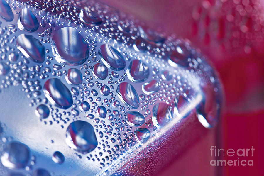 Moisture Droplets #2 Photograph by Charlotte Raymond