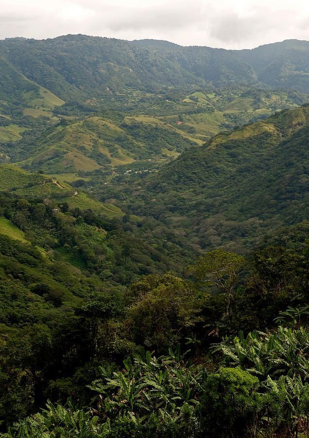 Monteverde Region Costa Rica #2 Photograph by Theodore Clutter