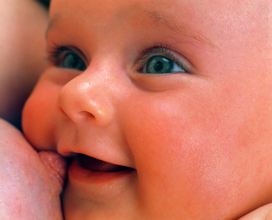 Breast Feeding Photograph - 2 Month Old Baby Girl Resting Between Breast-feeds by Simon Fraser/science Photo Library