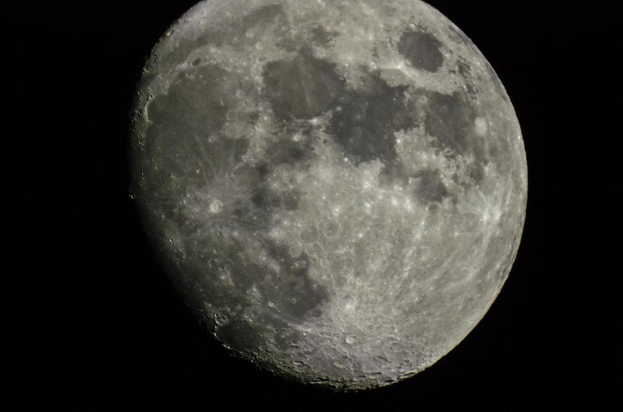 Moon #2 Photograph by Natasha Bishop