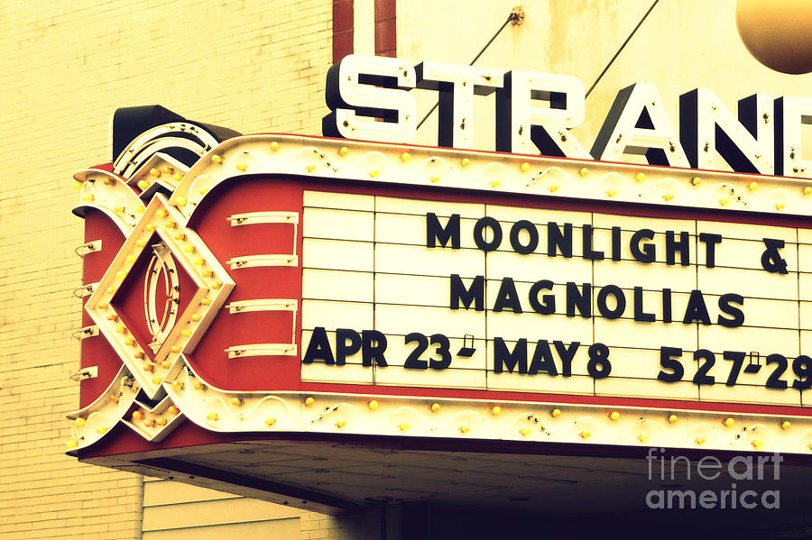 Moonlight and Magnolias #2 Digital Art by Valerie Reeves