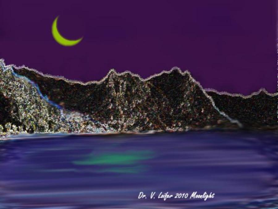 Moonlight #2 Digital Art by Dr Loifer Vladimir