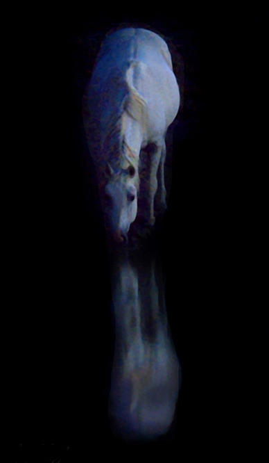 Moonlight Photograph by Lourie Zipf Moonlight Photograph by Lourie Zipf