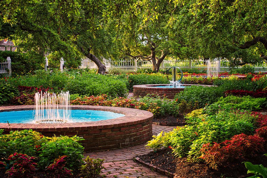 Morning Garden Photograph by Jeff Sinon