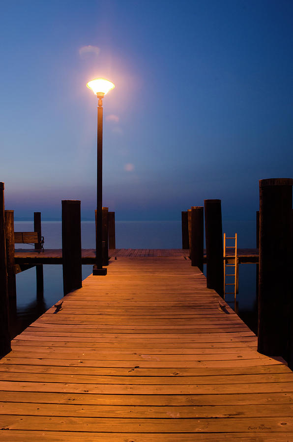 Nature Photograph - Morning on the Dock by Crystal Wightman