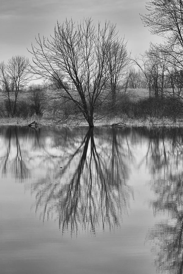Morning Reflection #2 Photograph by Eunice Gibb