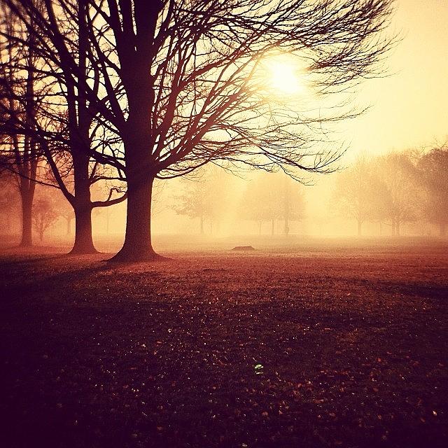 Vscocam Photograph - #morningwalk #sunrise #mextures #vscocam #2 by Jayna Wallace