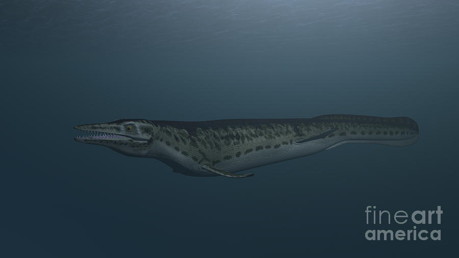 Mosasaur Swimming In Prehistoric Waters Digital Art