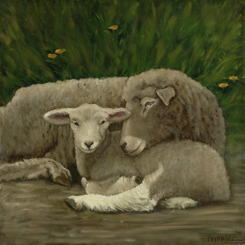 Mother And Lamb #2 Painting by John Reynolds