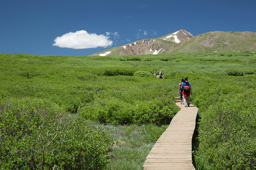 Mount Bierstadt Hiking Trail #2 by Science Photo Library