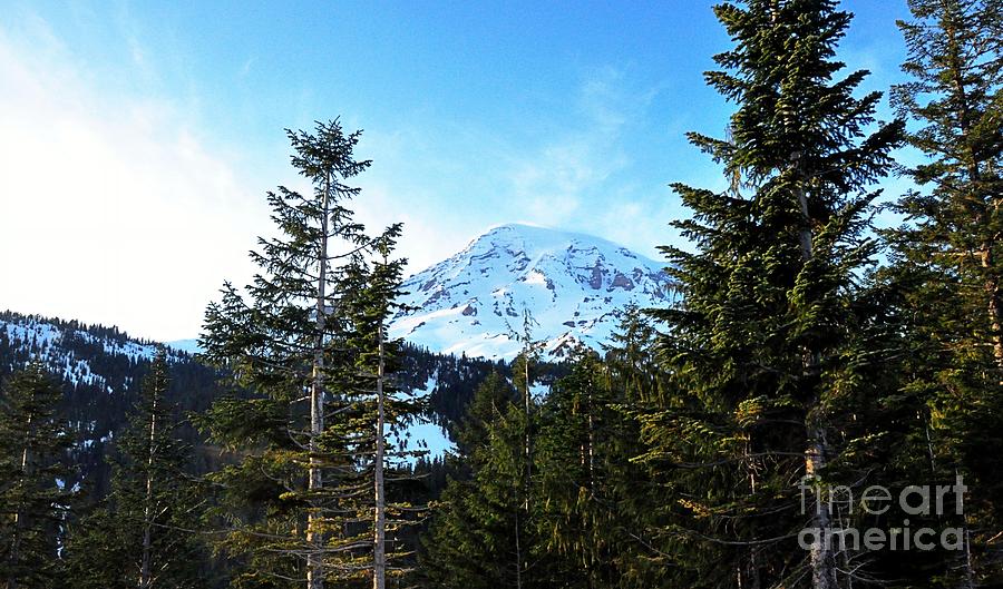 Mount Rainier #2 Photograph by Phillip Garcia