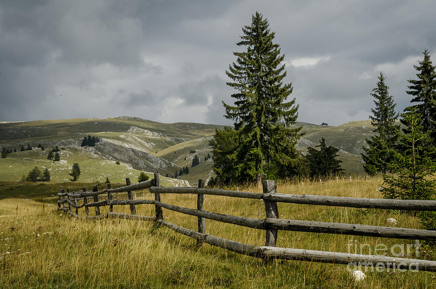 Mountain Landscape Photograph by Jelena Jovanovic