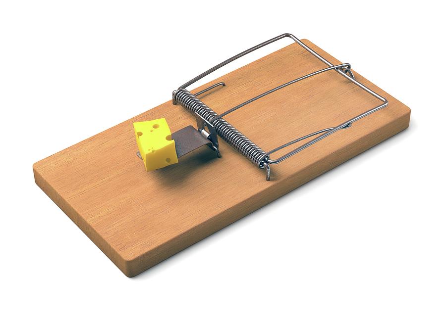 Big Mousetrap Stock Photos - Free & Royalty-Free Stock Photos from