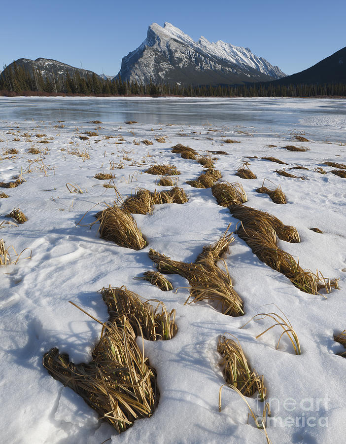 Mt. Rundle And Vermillion Lake #2 Photograph by John Shaw