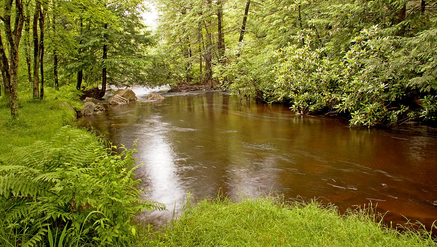 Mud Run Pocono Mountain Stream Pennsylvania Photograph by A Macarthur