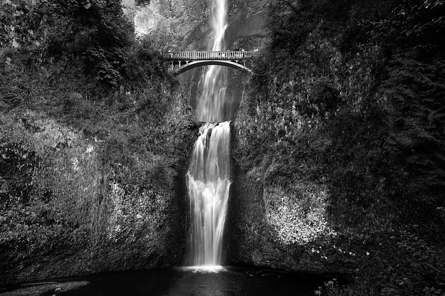 Multnomah Falls #1 Photograph by Peter Tellone