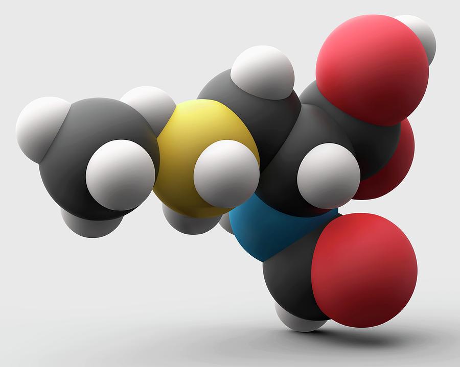 N-formylmethionine Amino Acid Molecule #2 By Carlos Clarivan Science 