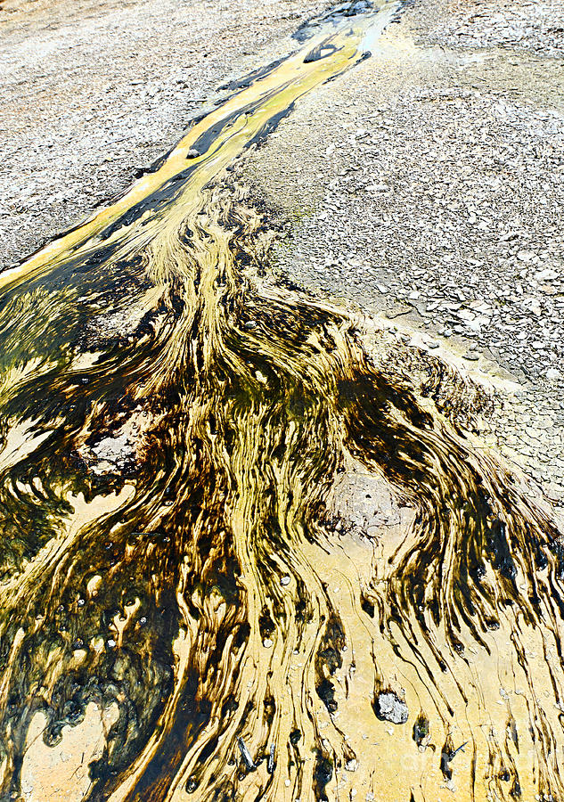 Yellowstone National Park Photograph - Natures Inkblot Test - Abstract runoff of a hot spring with algae and bacteria. #2 by Jamie Pham