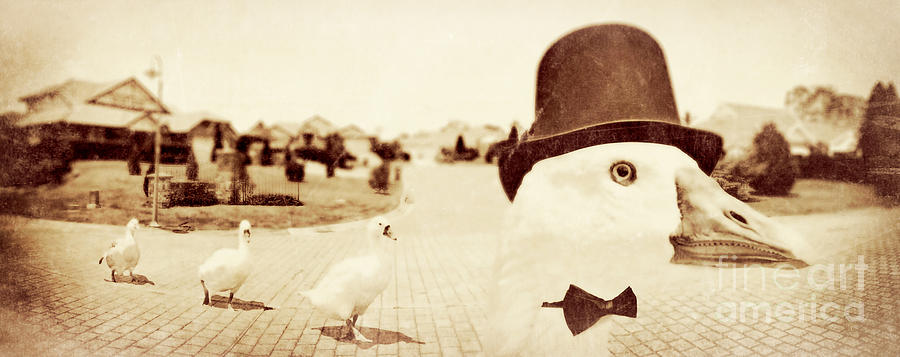 Natures pecking order Digital Art by Jorgo Photography Natures pecking order Digital Art by Jorgo Photography