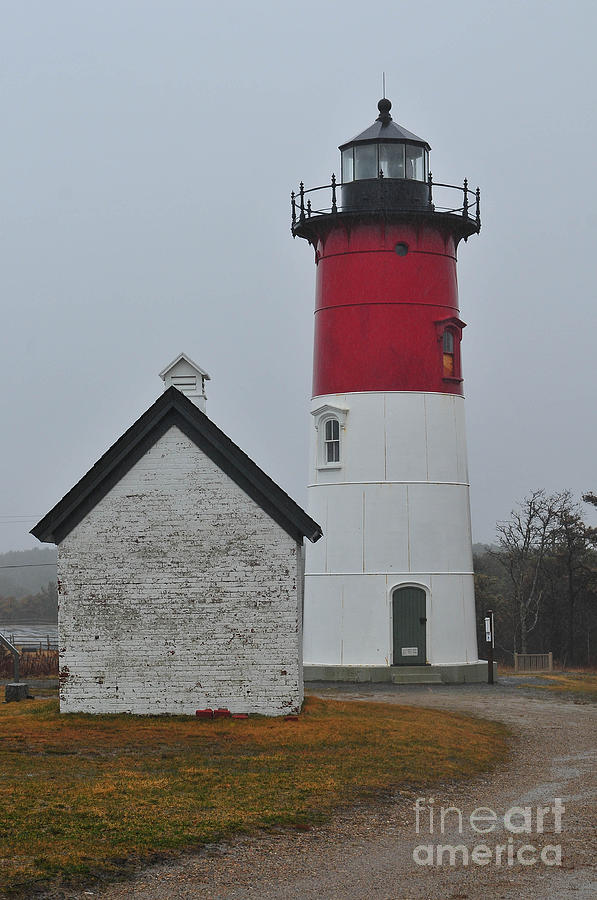 Eastham Photograph - Nauset Light #2 by Catherine Reusch Daley