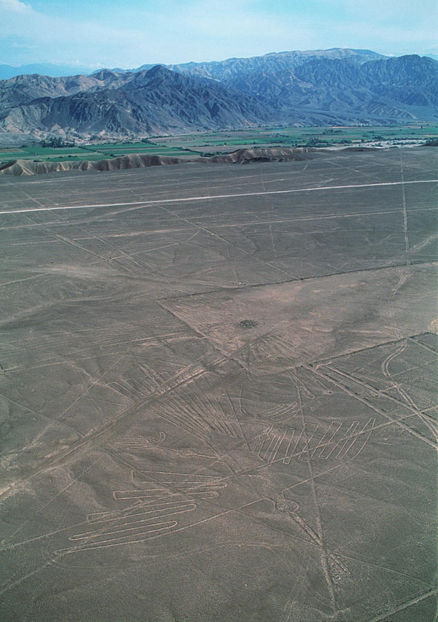 Nazca Lines #2 Photograph by David Nunuk/science Photo Library