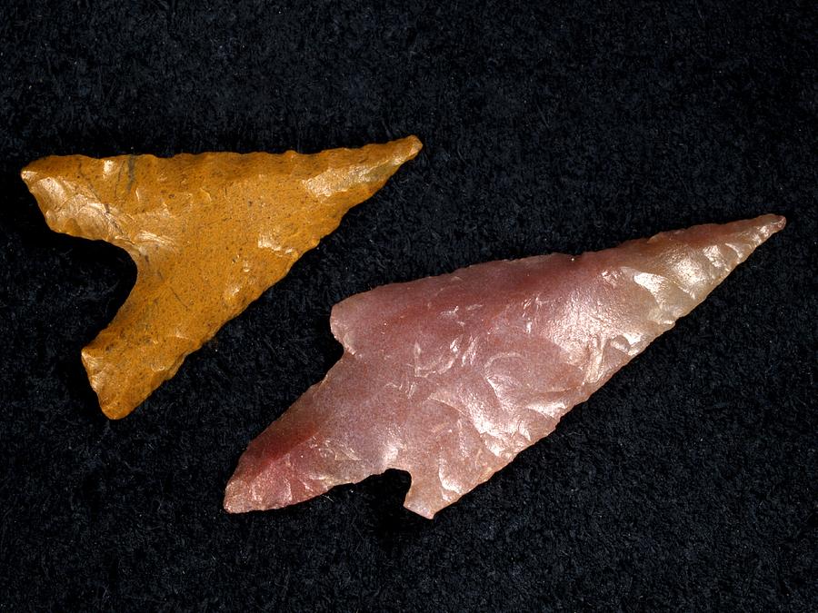 Prehistoric Photograph - Neolithic flint arrowheads #2 by Science Photo Library