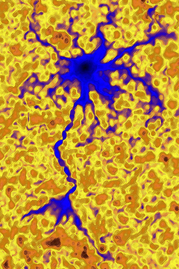 Neuron #2 Photograph by James Cavallini