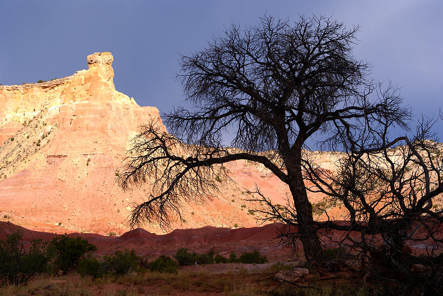 New Mexico Landscape #2 Photograph by Robert Lozen