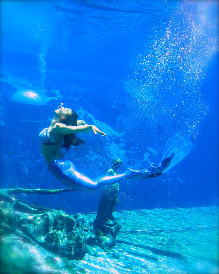 Mermaid Spring by Julie Komenda Mermaid Spring by Julie Komenda