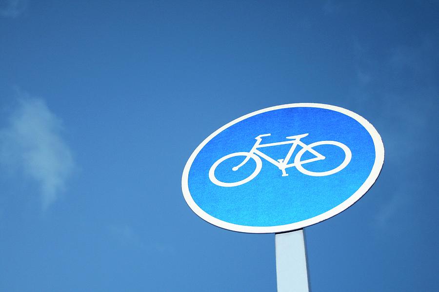 New Zealand Road Sign Photograph by Chris Martin-bahr/science Photo ...