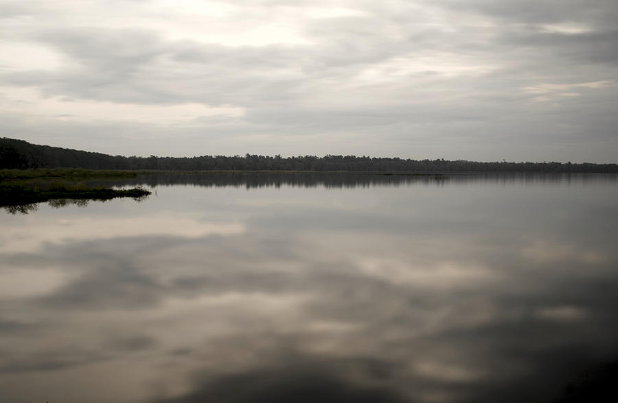 Gainesville Photograph - Newnans Lake #2 by William Ragan