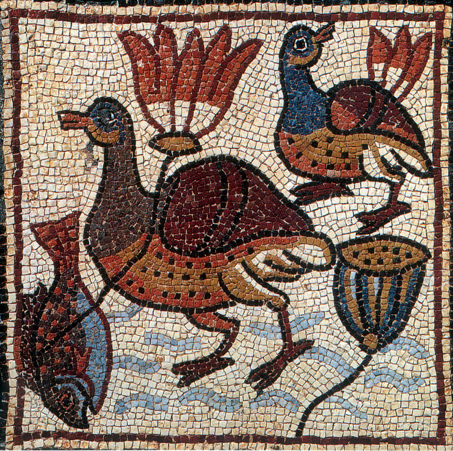 Nile Fauna, Byzantine Mosaic, 6th #3 Photograph by Science Source