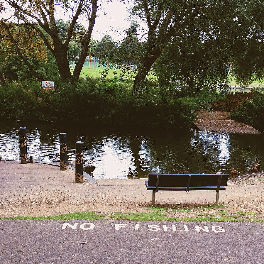 Bird Photograph - No Fishing #2 by Gemma Knight