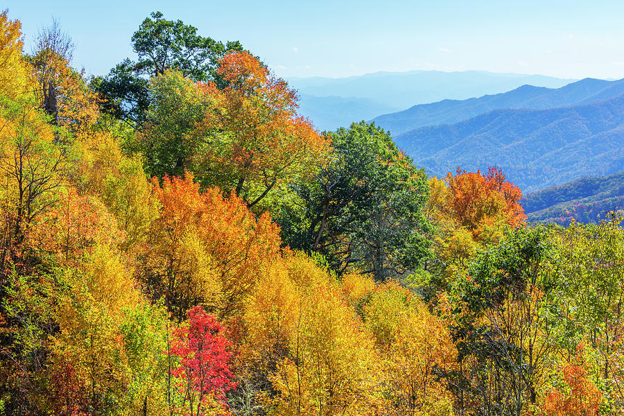 North Carolina, Great Smoky Mountains Photograph by Jamie and Judy Wild ...