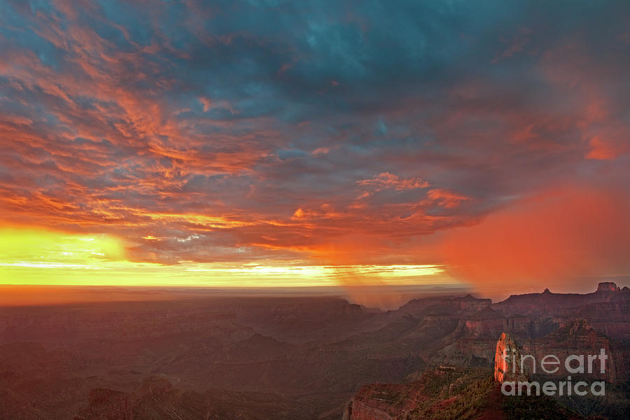 North Rim Grand Canyon National Park Arizona Photograph by Dave Welling