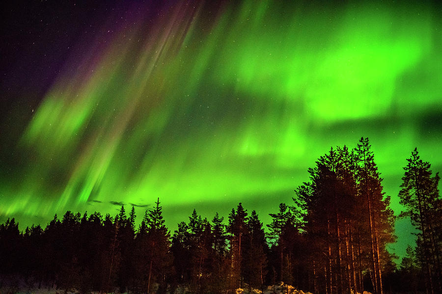 Northern Lights, Lapland, Sweden Photograph by Panoramic Images - Fine ...