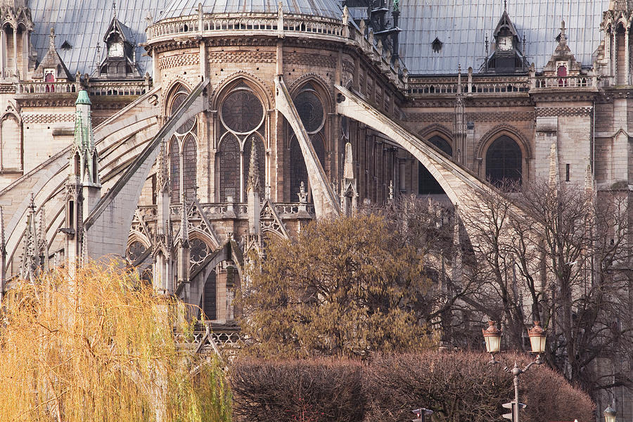 Notre Dame De Paris Cathedral Photograph by Julian Elliott Photography
