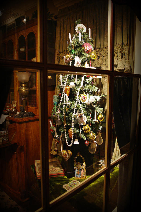 O Christmas Tree #1 Photograph by Marilyn Wilson