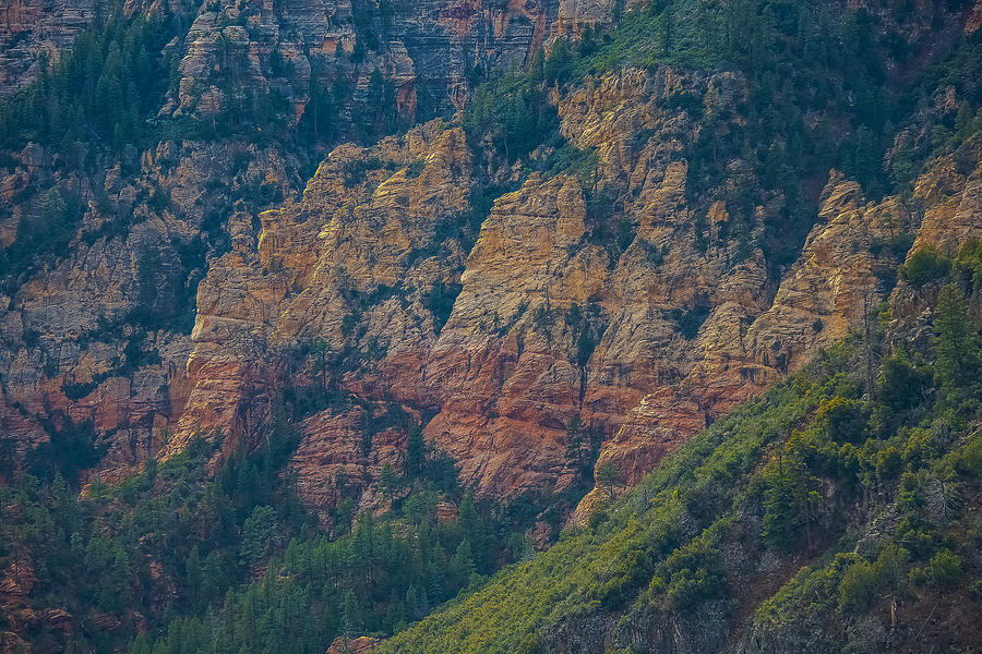 Oak Canyon Sedona #2 Photograph by Steven Lapkin