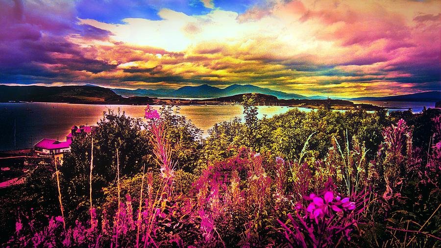 Flower Photograph - Oban Scotland #2 by Chris Drake