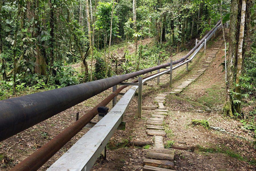 Oil Pipeline In Rainforest #2 Photograph by Dr Morley Read