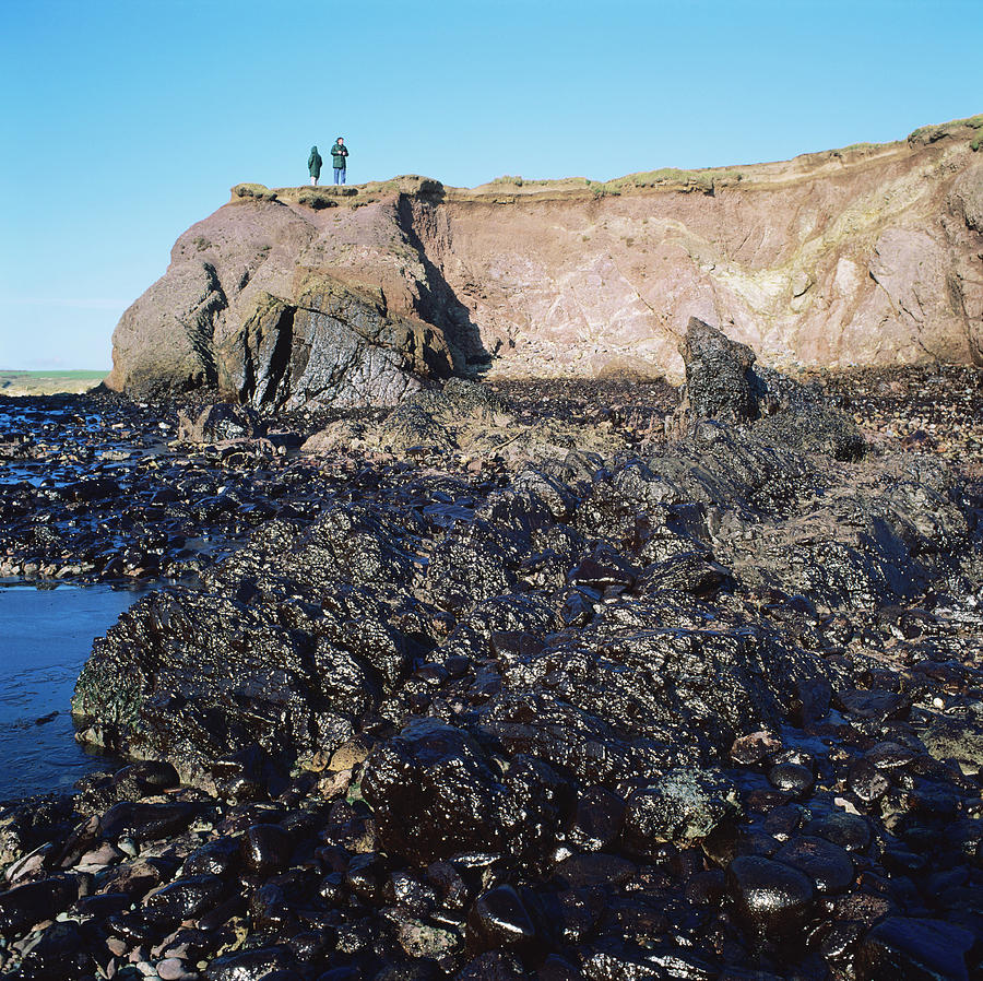 Milford Haven Photograph - Oil Pollution #2 by Robert Brook/science Photo Library