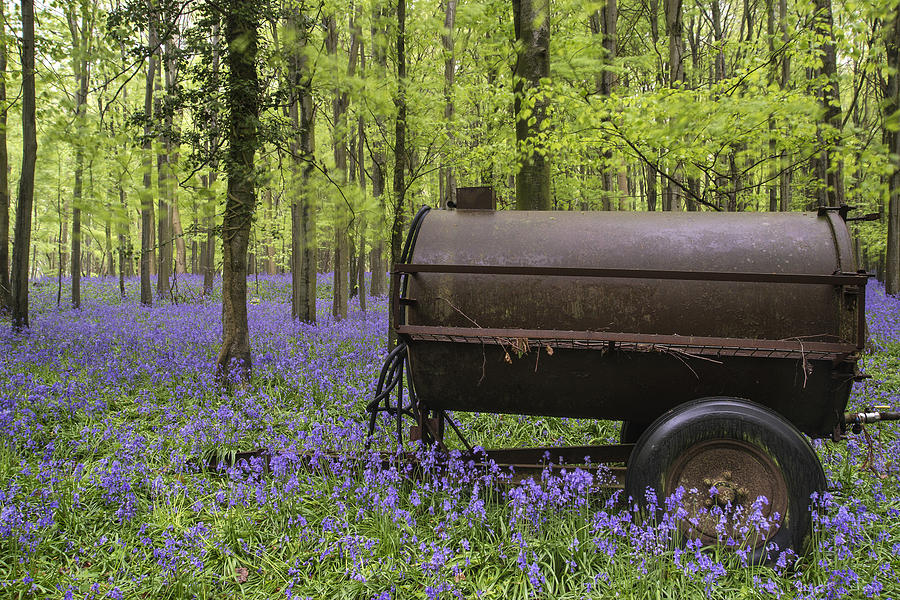 Flower Photograph - Old farm machinery in vibrant bluebell  Spring forest landscape #2 by Matthew Gibson